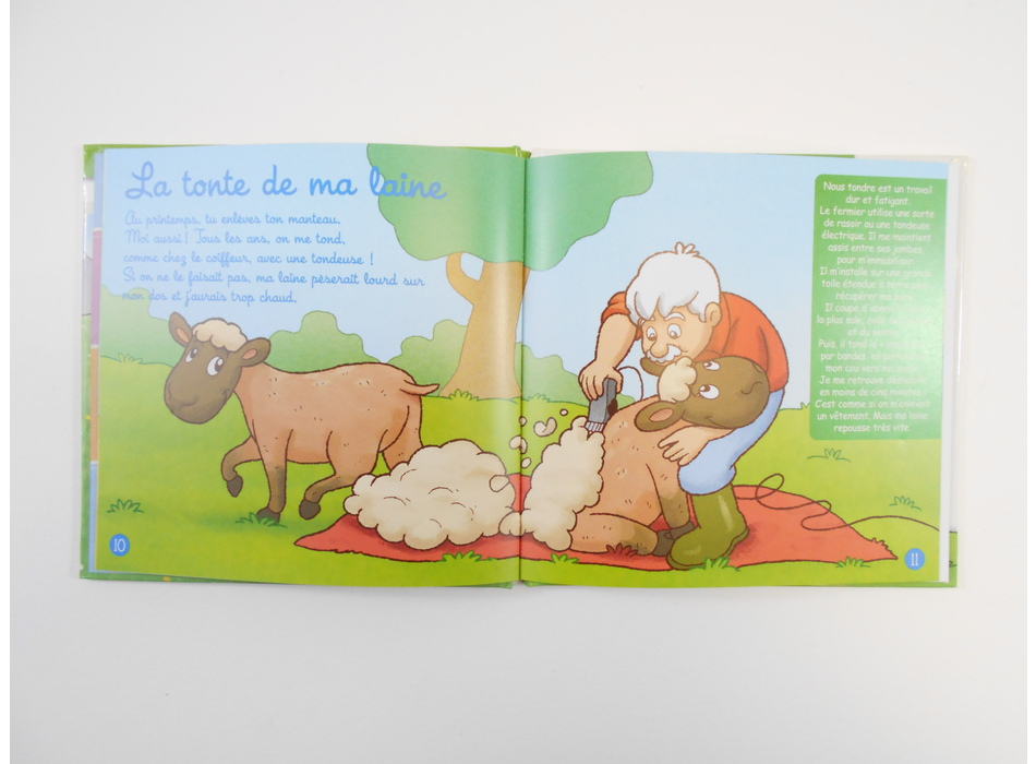 Le mouton - Editions Atlas - Livres | Mon Petit Doudou