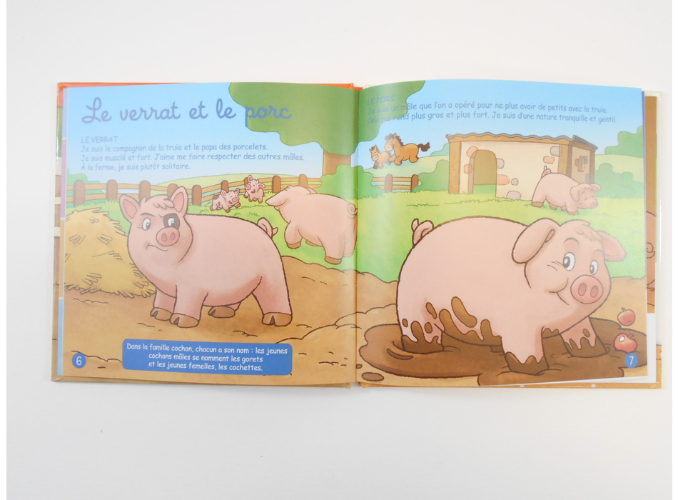 Le cochon - Editions Atlas - Livres | Mon Petit Doudou