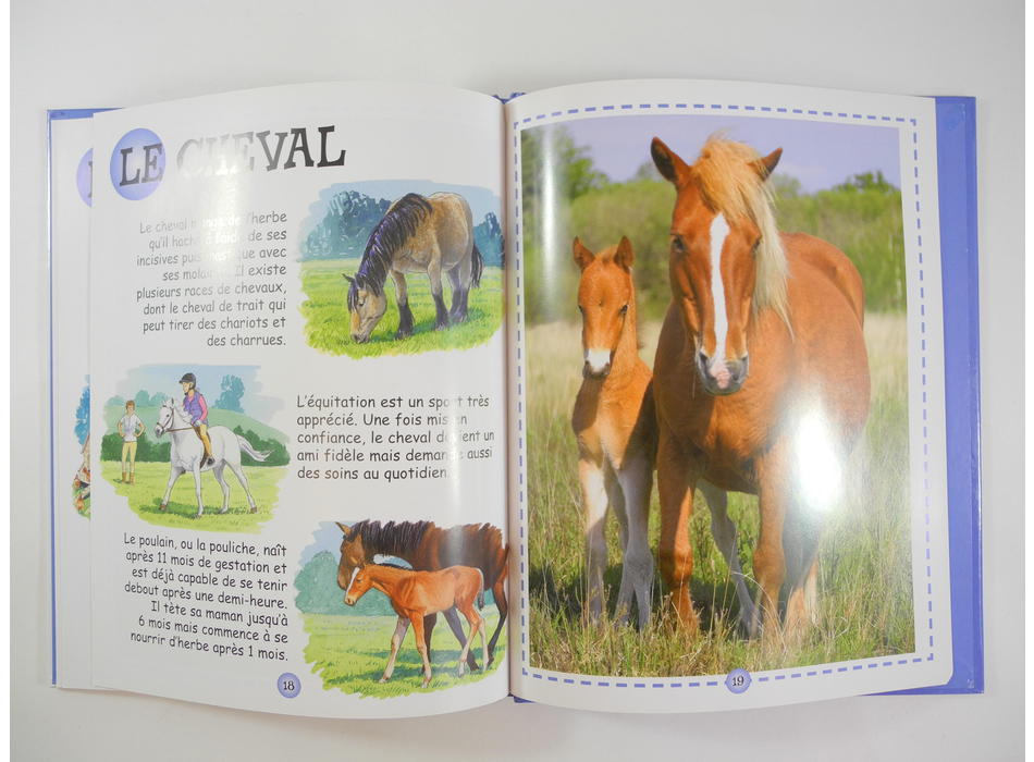 Les animaux de la ferme - Editions Caramel - Livres | Mon Petit Doudou