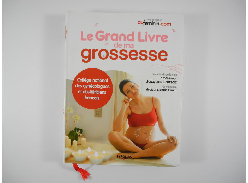 Le grand livre de ma grossesse | Beebs