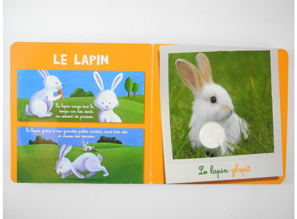 Dans la ferme - Editions France Loisirs - Livres | Mon Petit Doudou